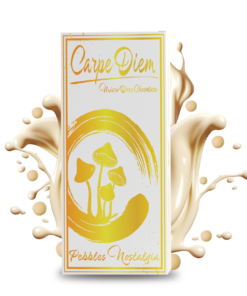 Carpe Diem mushroom chocolate