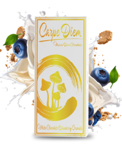 Carpe Diem Mushroom Chocolate