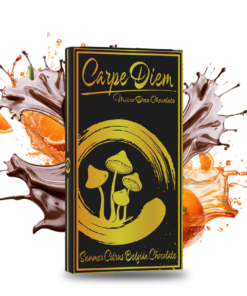 Carpe Diem Mushroom Chocolate Bar