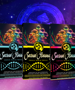 Sacred Journey Mushroom Bar