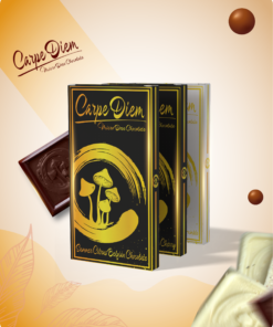 Carpe Diem Mushroom Chocolate